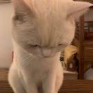 ffifi-