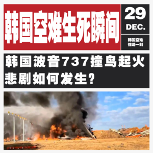 Vol.110 一架客机仅两人生还!韩国空难背后藏着什么“致命密码”?