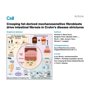 192-Creeping Fat Fibroblasts in Crohn's Stricture Fibrosis