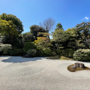 《图式解热点》第六十一期-浅聊道德经