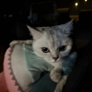 podcaster-avatar