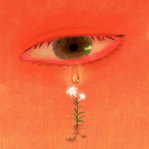 问题不大研究所