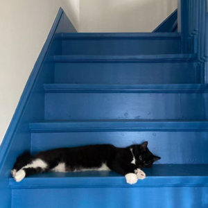 13. 你家真的需要室内设计师吗？