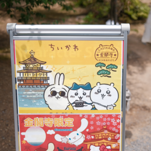 Vol 29. 日本关西经典线的新玩法,日本游记第三弹