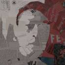 单纯的植物爱好者