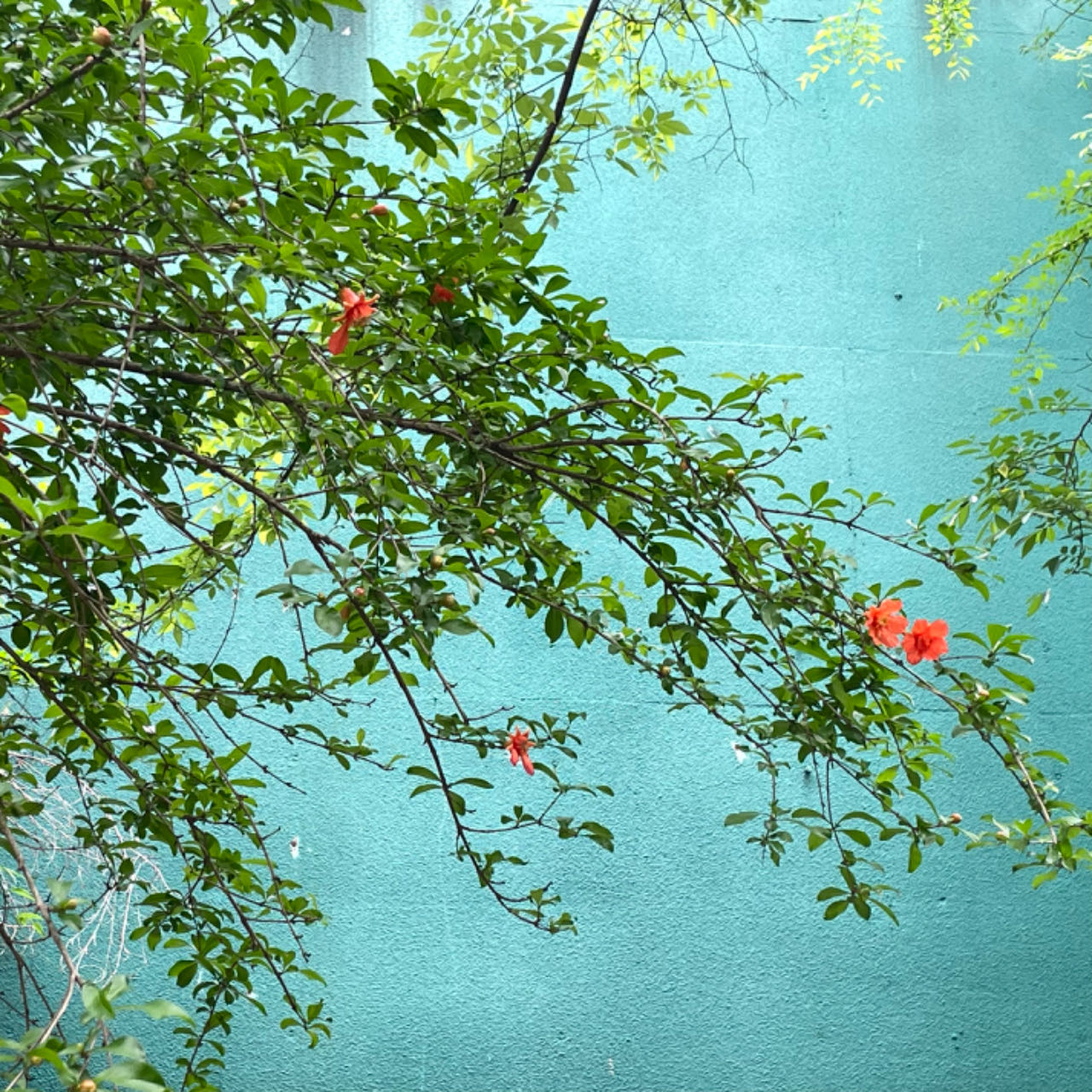 vol.20 积攒一些愉快瞬间，过个好夏天 episode artwork