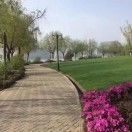 明月清风w
