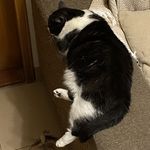 开勒勒