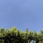工号9527123