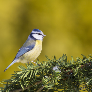 6.家人是后盾，家是最后的港湾