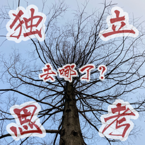 3. 绝望的文盲 绝望的真相 绝望的舆论 消失的独立思考