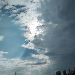 流觞千羽