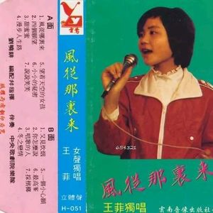 走进王菲——《Harry的午夜电台》第14期