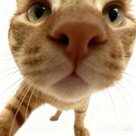 弟弟快点叫姐姐