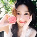 夏尔ir