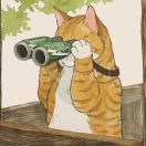 叫我英俊不然憋说话