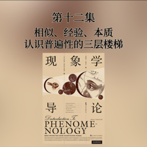 第十二集 相似、经验、本质——认识普遍性的三层楼梯
