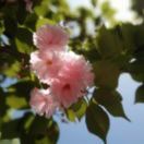 涓涓细流江水平