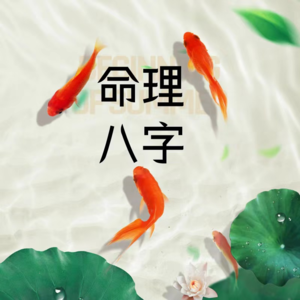 4.命理师告诉你：功成名就出人头地是对普通人最大的PUA！