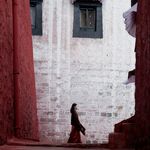 路上飞