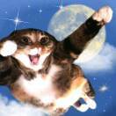 大鲤子鱼berber乱跳