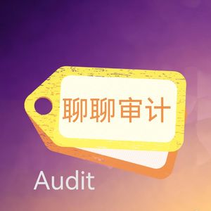 聊聊审计