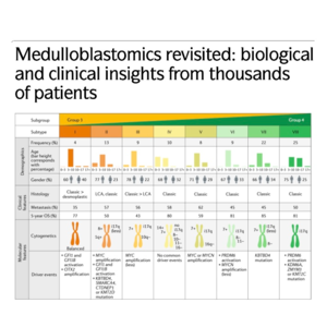187-Medulloblastoma Subgroups: Molecular Insights