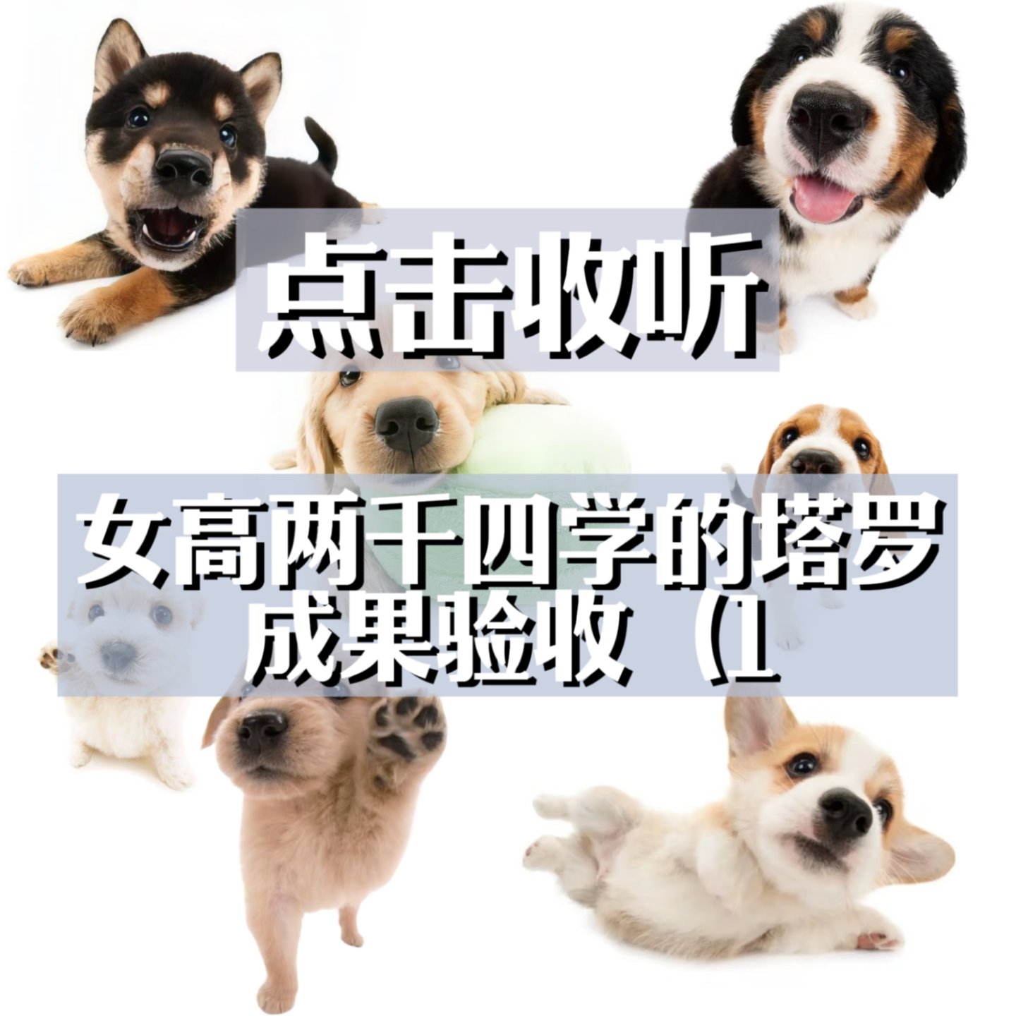 05｜点击收听女高两千四学的塔罗成果验收（1 episode artwork
