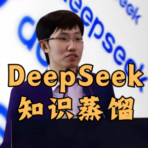 第510集 DeepSeek知识蒸馏