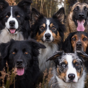 Vol.10 | 群像 永远停留在了那个平行世界中…