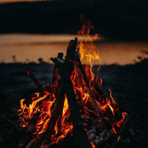 Vol.083 篝火旁的叙事诗（上）一口食物，一个名字，一生故事