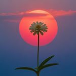 了凡菩提