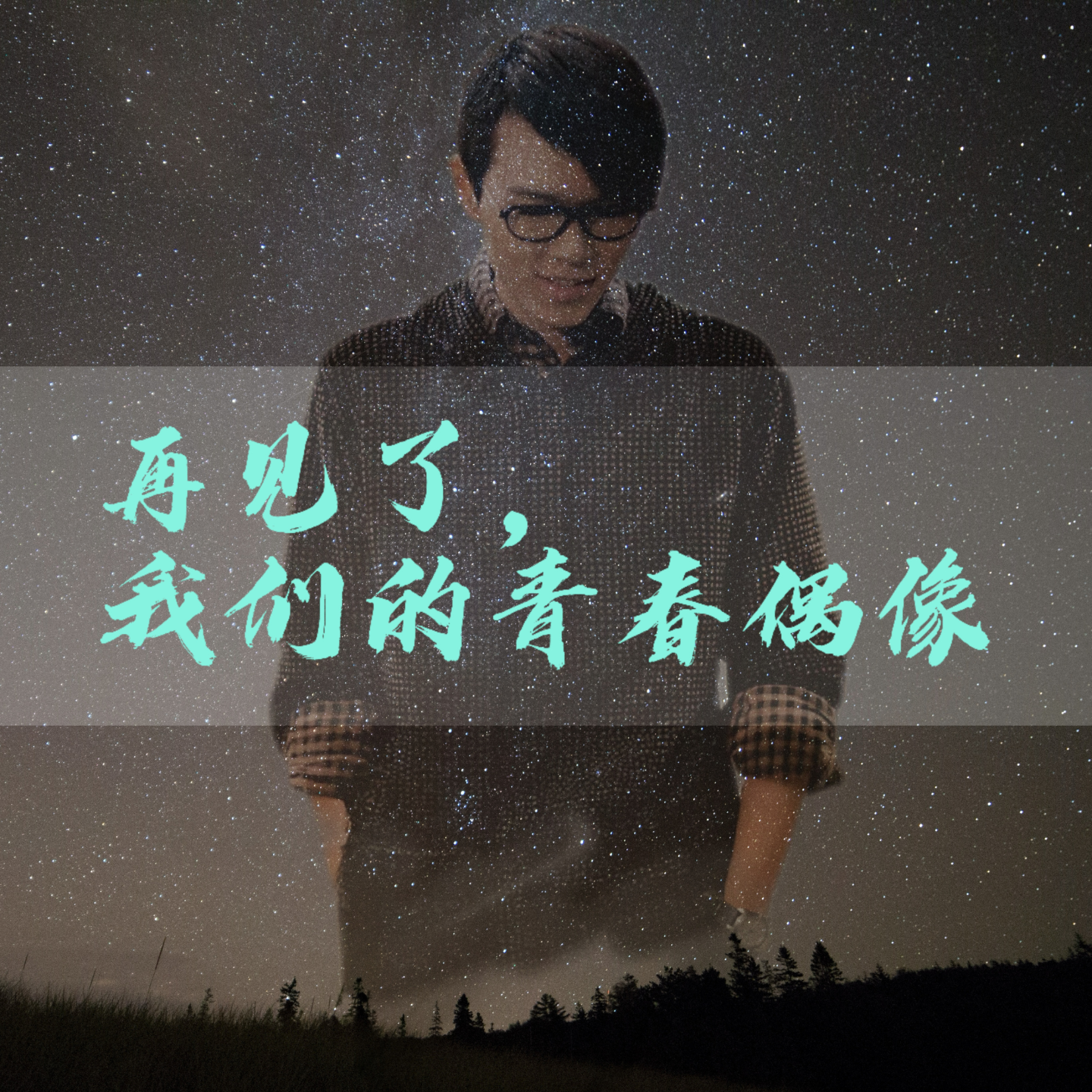 再见了，我们的青春偶像 episode artwork