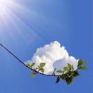 所有的偶然都是必然