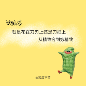Vol.5 钱是花在刀刃上还是刀把上？从精致穷到穷精致