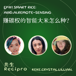 44-Recipo#1 赚碳权的智能大米怎么种? AWD, AI, & Remote sensing