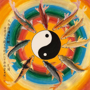 E53 当科学设计遇见玄学磁场：你家装修该听谁的？