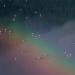 podcaster-avatar