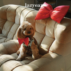 11.“它经济”兴起，如何打造宠物界的潮牌，对话Lazy Eazy