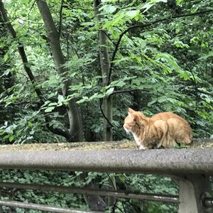 podcaster-avatar