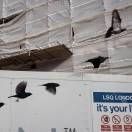 一百种生活-卢广仲