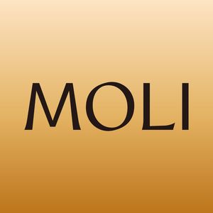 茉莉智慧MOLI