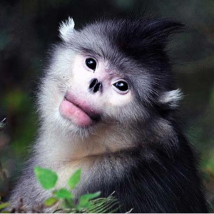 番外:从性别研究到一场关于自我规训和思想钢印的剖析