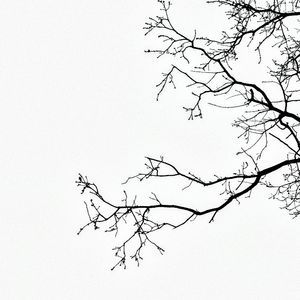 口述绝症临终的妈妈 (下)：我们所听到的死亡故事，都太过诗情画意