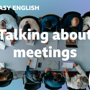 Talking about meetings (250829)