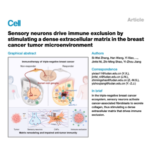 564-Sensory Neurons Drive Immune Exclusion in Breast Cancer