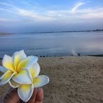 VivienG