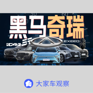 车观察 - 其他家都在画大饼，奇瑞却在派包子？