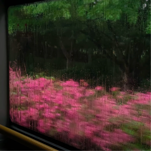 串台007｜从奥运开始聊聊女性身体（下）