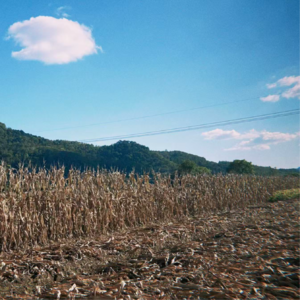 课间休息006：你爬雪山，我回东北，我们都有快乐的初秋